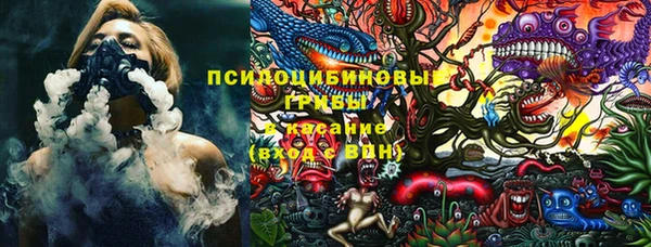 a pvp Алексин